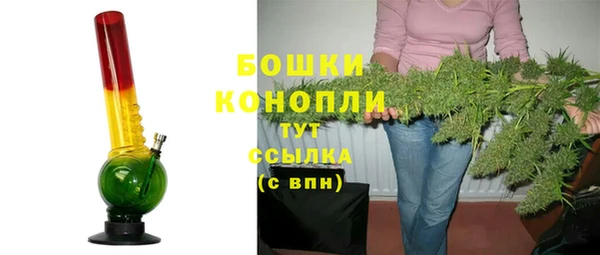 индика Богородицк